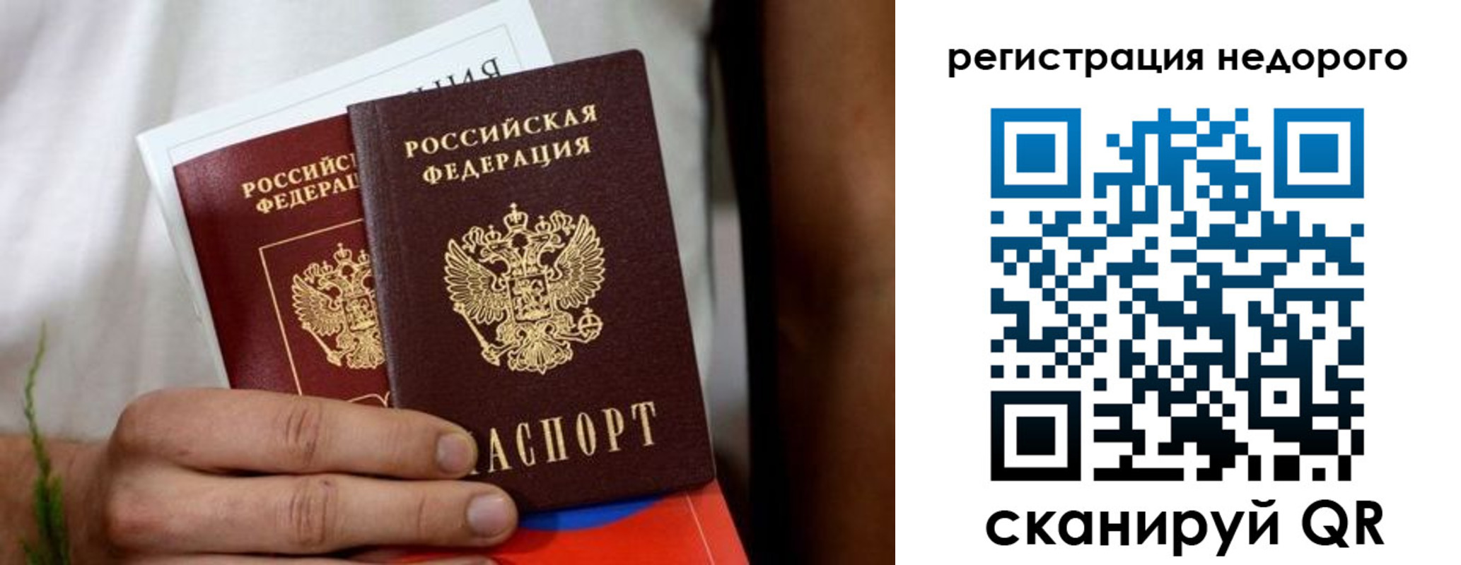 временная регистрация гарантия в Лесном